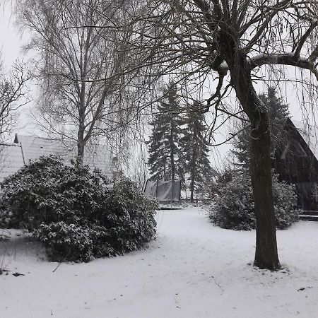 Eitzmanns Ferienhauser Dushorn Buitenkant foto