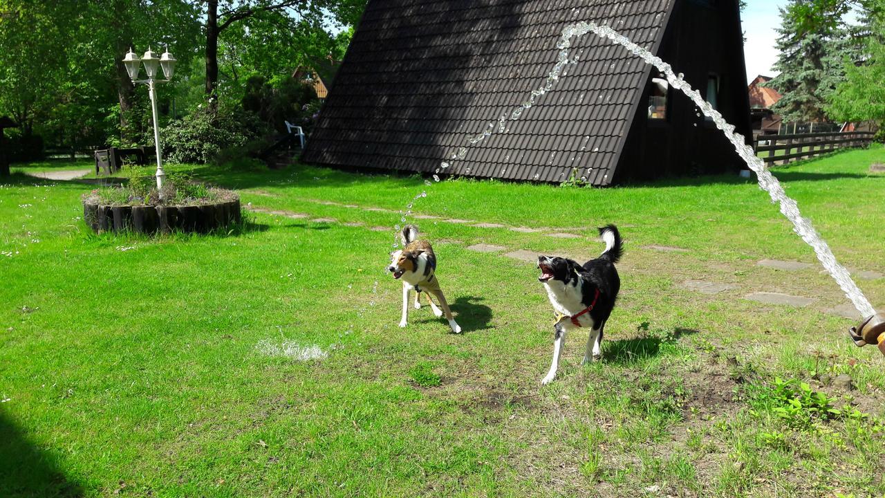 Eitzmanns Ferienhauser Dushorn Buitenkant foto